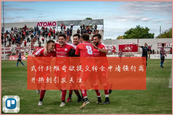 武什科维奇欲提交转会申请强行离开热刺引发关注