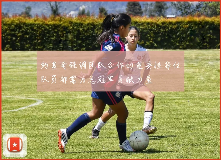 约基奇强调团队合作的重要性每位队员都需为总冠军贡献力量